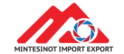 Mintesiont-Webstie-logo-2
